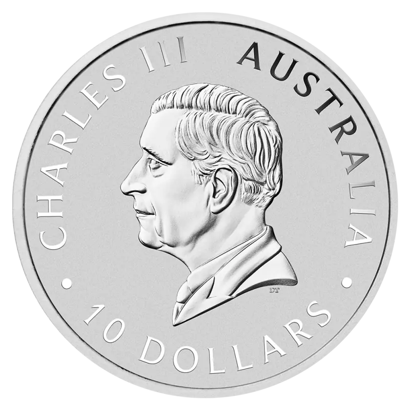 10 oz Kookaburra | Argento| 2025 - immagine 2