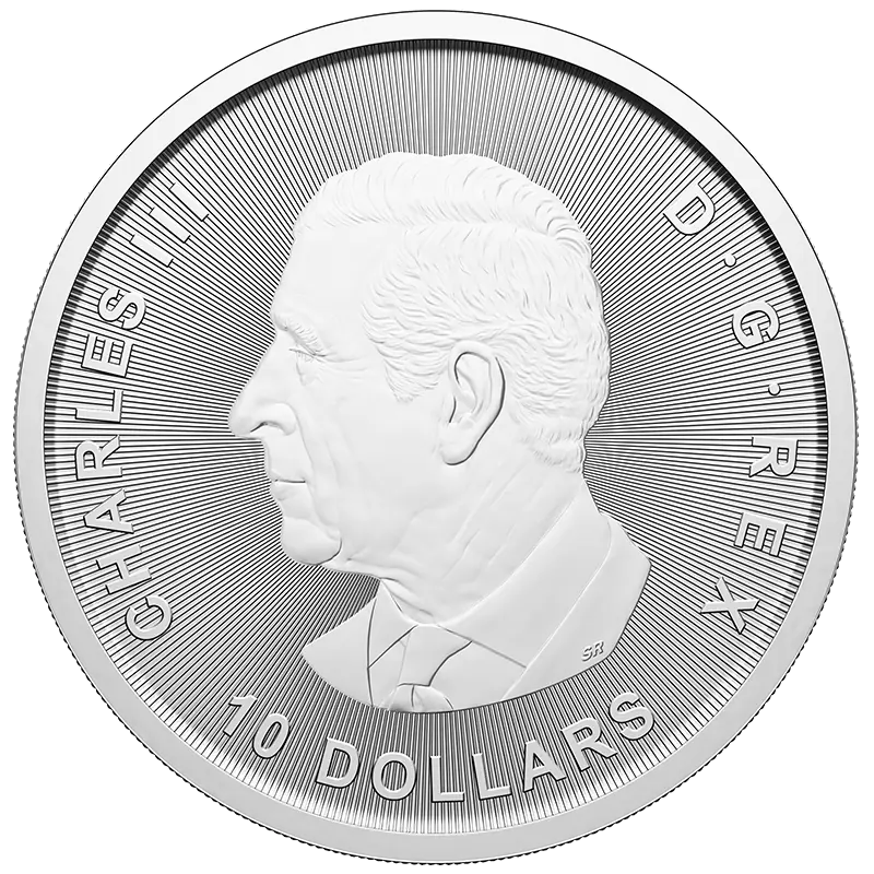 2 oz Bull and Bear d'argento | 2025 - immagine 2